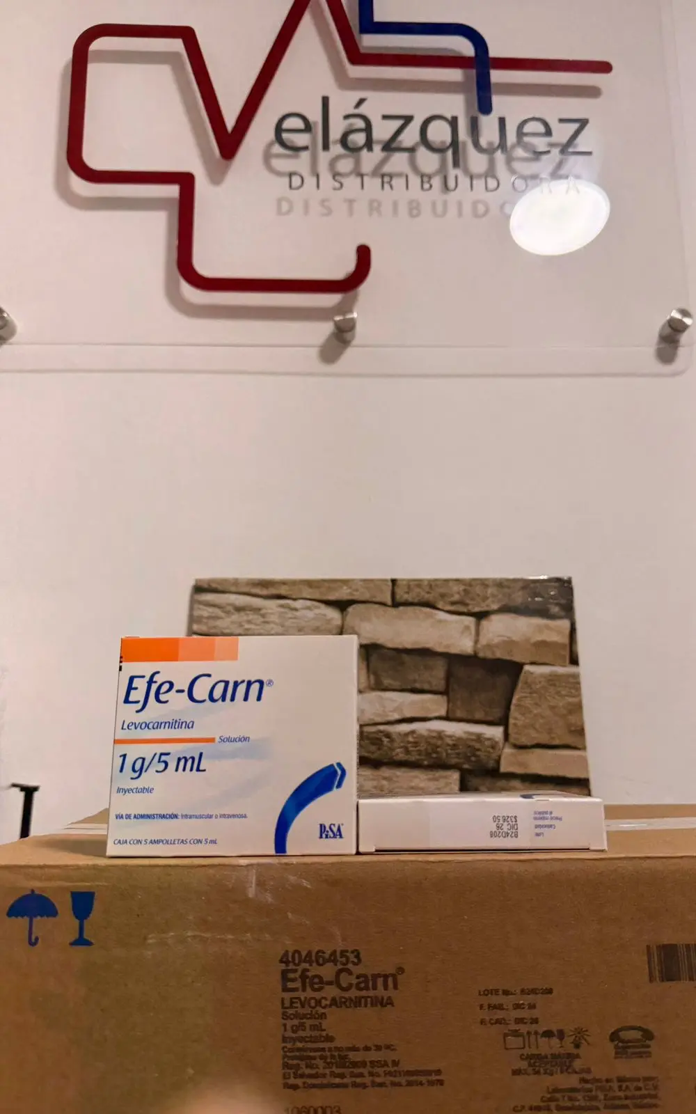 Efe-Carn (Levocarnitina)